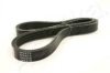 ASHIKA 112-4PK675 V-Ribbed Belts